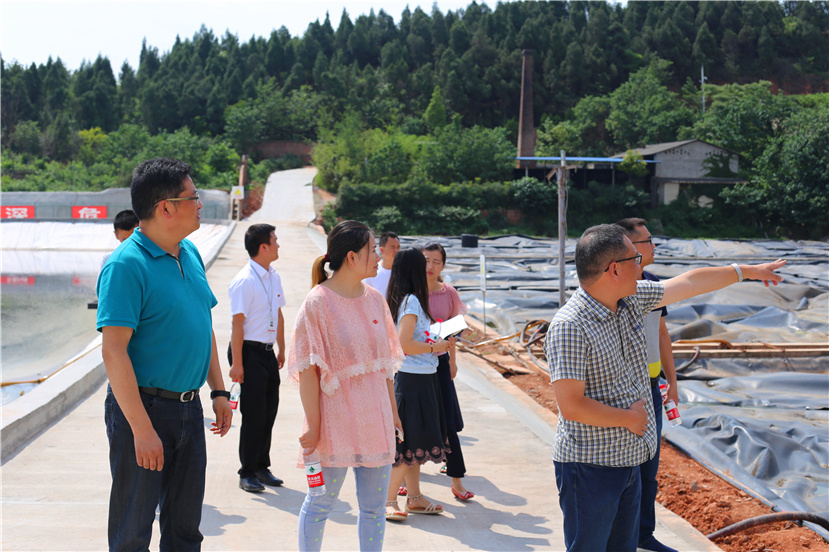 集團第一檢查組檢查杰陽排水公司、固廢處置公司安全防汛和環(huán)保達標各項工作3_副本